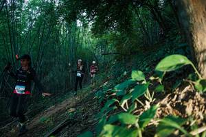 BIB: 
                            <button type="button" onclick="openModal(28124388)" class="btn btn-primary btn-sm float-right btn-popup" data-toggle="modal" data-target=".modal-high-quality">
                        <i class="fas fa-shopping-cart"></i> Add to Cart
                    </button>
                                            <button type="button" onclick="isThisMe(28124388, true)" class="btn btn-success btn-sm float-right btn-popup btn-isme hidden" data-toggle="tooltip" data-placement="bottom" title="นี่คือรูปของคุณใช่ไหม คลิกที่นี่เพื่อเอาเข้าอัลบั้ม">
                        <i class="fas fa-plus"></i> Add to album
                    </button>
                    <button type="button" onclick="isThisMe(28124388, false)" class="btn btn-warning btn-sm float-right btn-popup btn-isnotme hidden">
                        <i class="fas fa-ban"></i> Remove from album
                    </button>